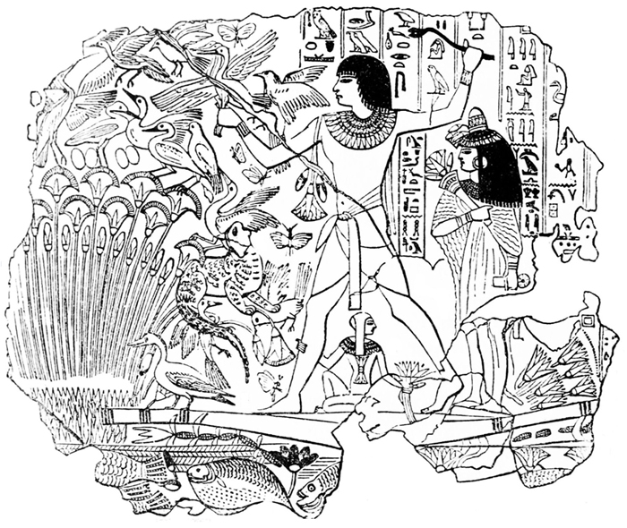 Disegno e immagine del frammento proveniente dalla tomba di Nebamun